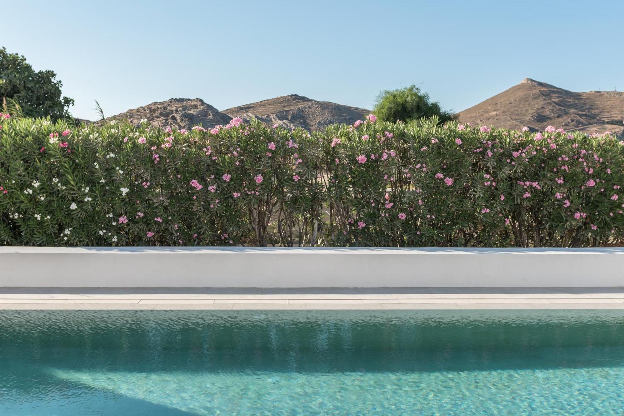 Parilio, A Member Of Design Hotels Naousa  Bagian luar foto